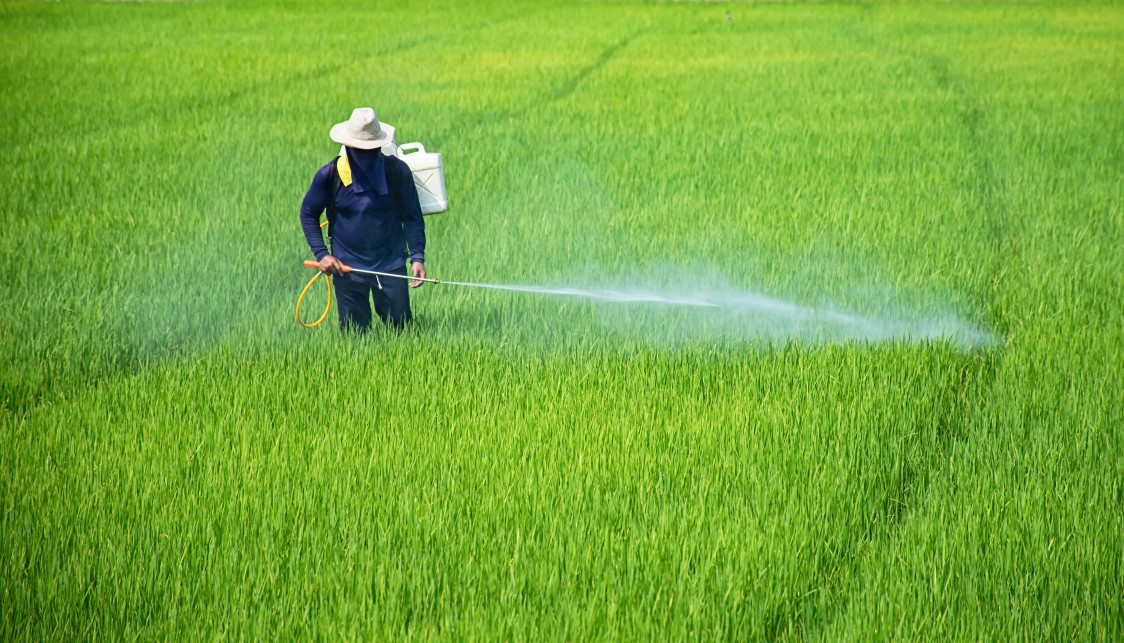 farmers-are-spraying-crops-in-a-green-field_t20_yX1joL