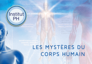 mystere-corps-humain